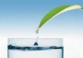 /album/galleria-foto-chi-siamo/acqua-6-bicchiere-e-foglia-jpg1/